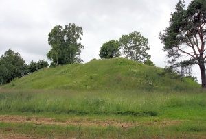 Kelmės r. Šaukėnų seniunija. Kalniškių piliakalnis