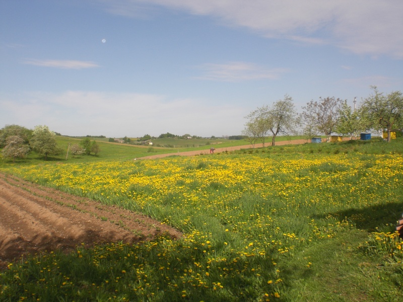 Vaizdas:Pavasaris Žagarių kaime 254.jpg
