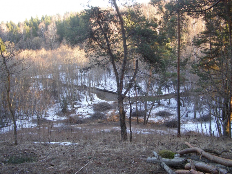 Vaizdas:Vaizdas žiemą nuo Kejėnų piliakalnio 760.jpg