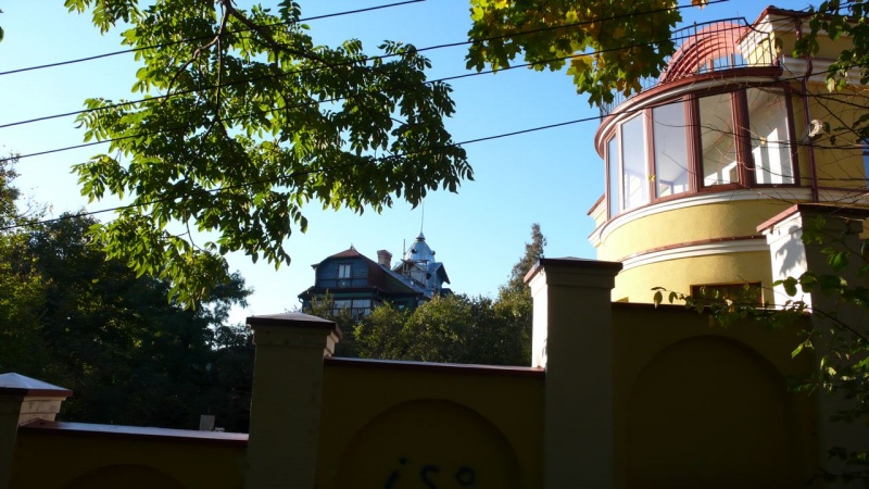 Vaizdas:Pilaite 855.jpg