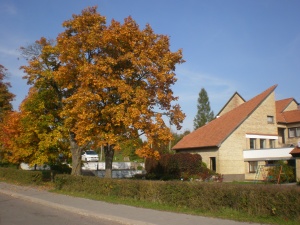 Radviliškio raj. Raudondvaris