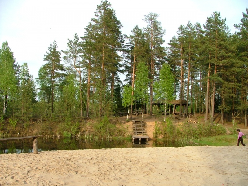 Vaizdas:C-Documents and SettingsDaiva userDesktoppoilsiaviete.JPG