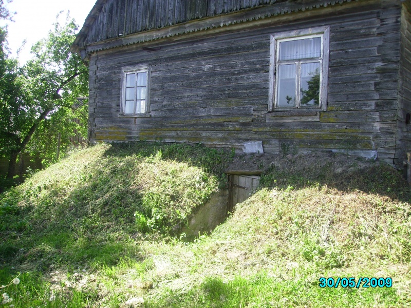 Vaizdas:Lange atsispindi eglės šakelė 248.jpg