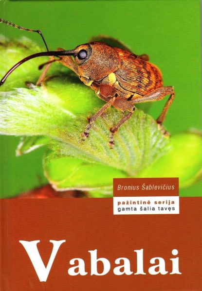 Vaizdas:Vabalai 305.jpg