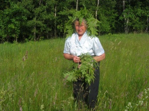 Joninės