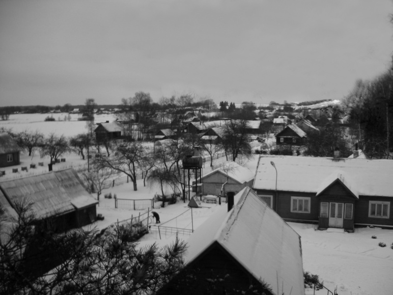 Vaizdas:Reškutėnai iš aukštai 823.jpg