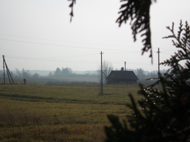 Vaizdas:Trobelė 884.jpg