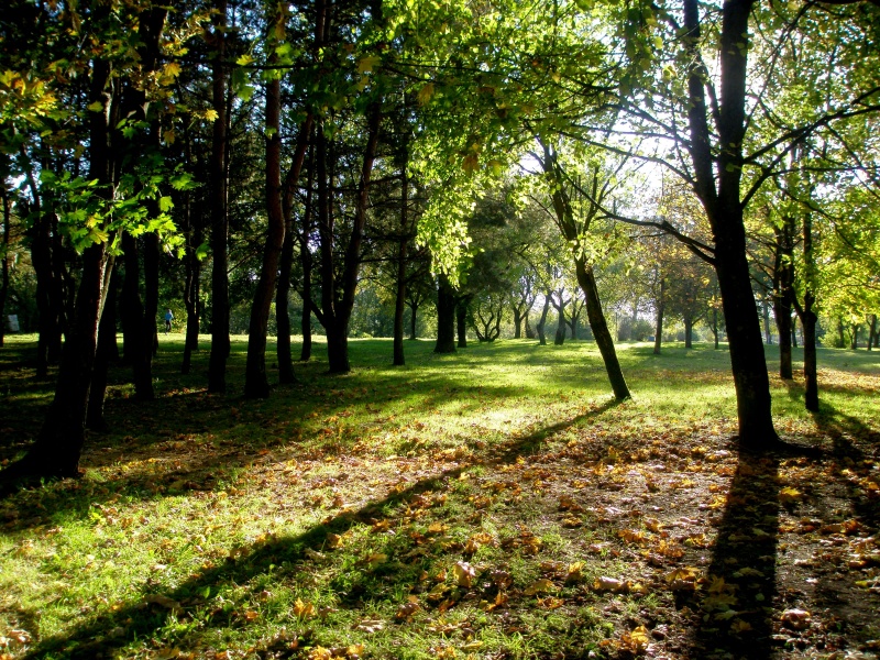 Vaizdas:Jonavos parkas, kvepiantis rudeniu 352.jpg