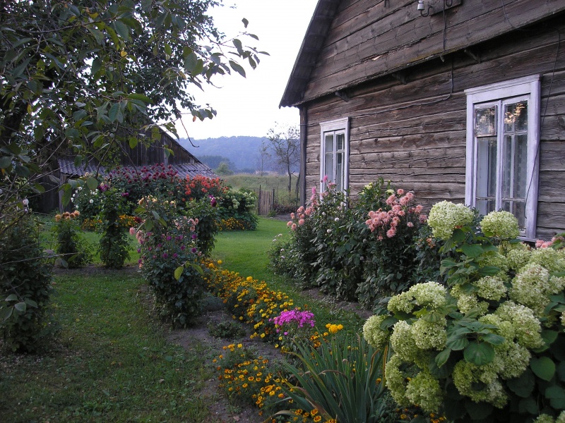 Vaizdas:Kur rausta žemčiūgai 144.jpg