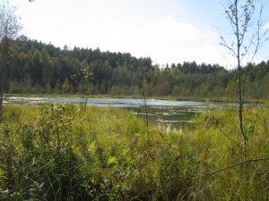 PAGELUŽIO EŽERĖLIS (Trakų r.)