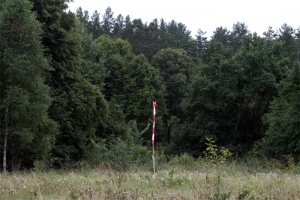 Salovartė