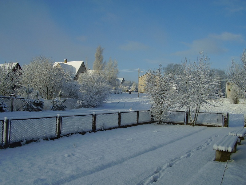 Vaizdas:Dapkūniškiai 930.jpg
