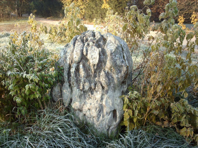 Vaizdas:Amžių raukšlės 256.jpg