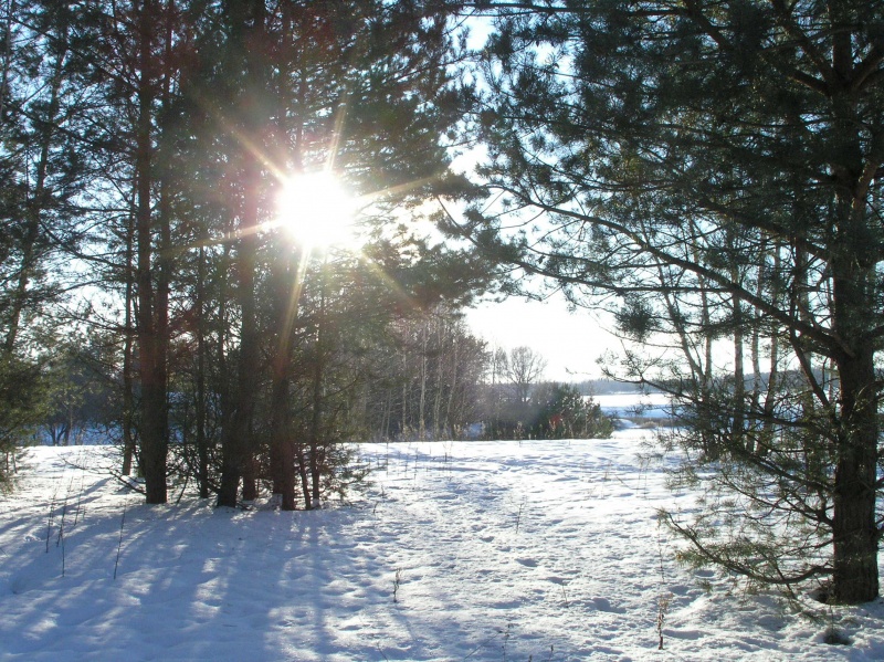 Vaizdas:Ne už kalnų pavasaris 421.jpg
