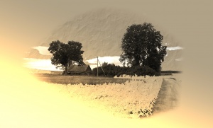 Biržų raj.