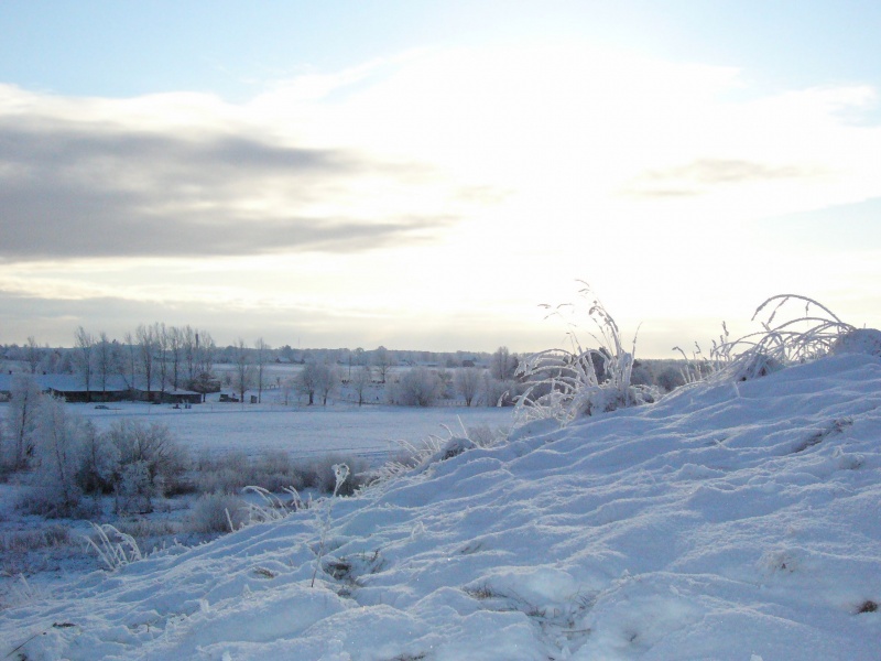 Vaizdas:Nuo Žvelgaičio kalno (Žagarė) 56.jpg