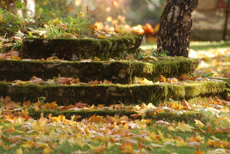 Vaizdas:Karmėlava 766.jpg