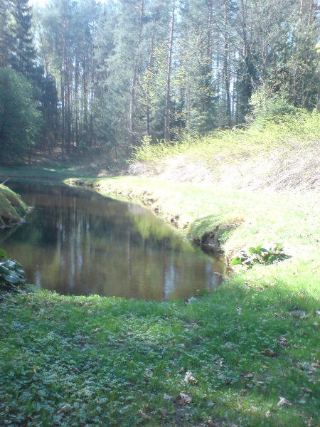 Vaizdas:Sodo puosmena - pelke 374.jpg