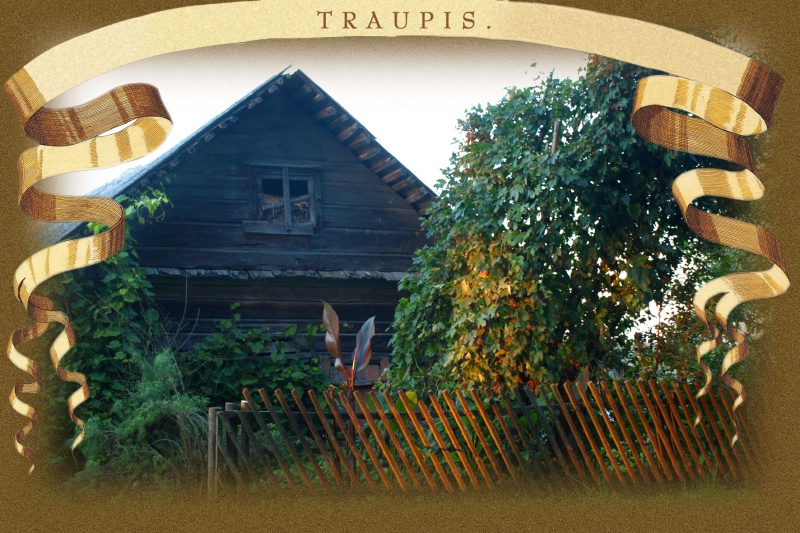 Vaizdas:Traupis 16 339.jpg