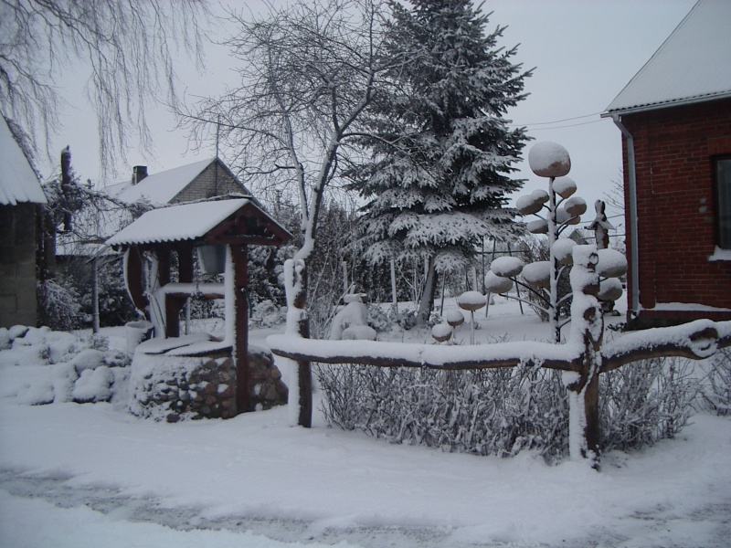 Vaizdas:Žiema Maldėnuose 809.jpg