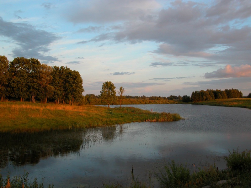 Vaizdas:Palėvenėlė vakare 793.jpg