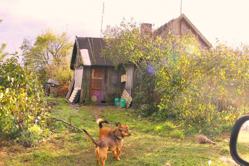 Vaizdas:Pagramdai. Mačiokienės kiemelis 102.jpg