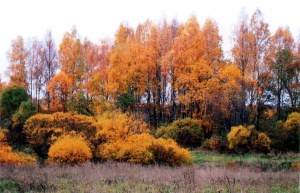Svėdasų apylinkės: rudenėja