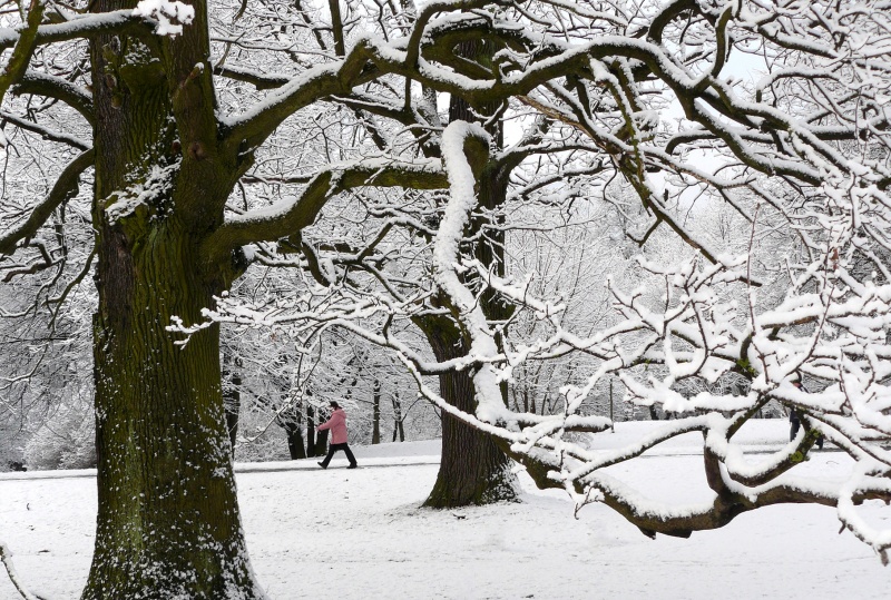 Vaizdas:Ąžuolyno parkas 53.jpg