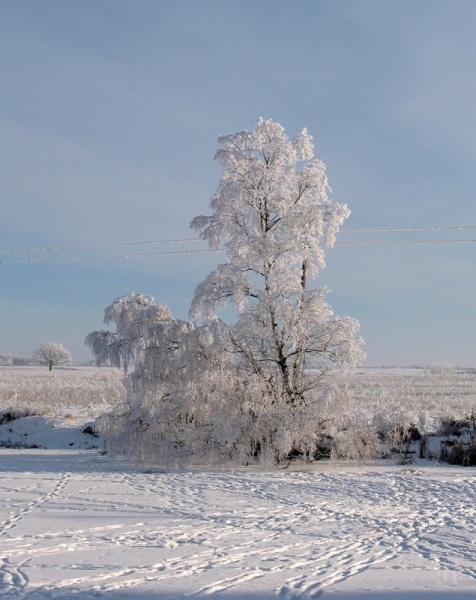 Vaizdas:Pėdsakų labirintai 301.jpg