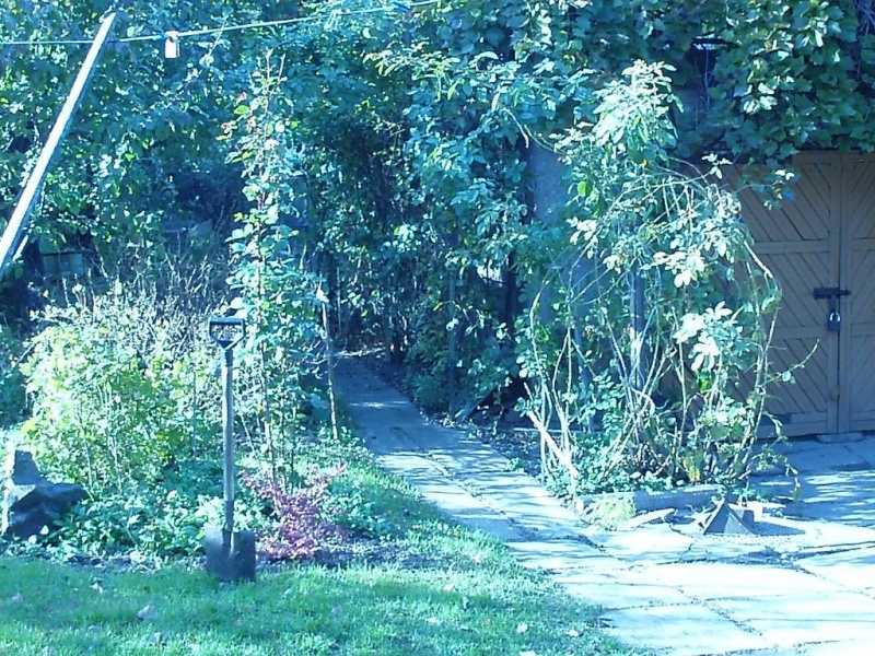 Vaizdas:Pa100151 279.jpg