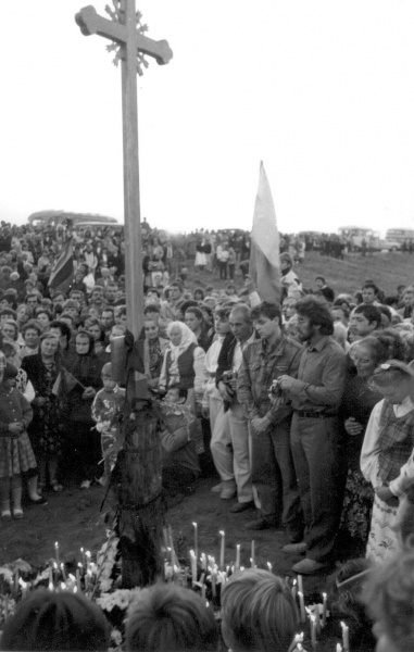 Vaizdas:B10-baltijos kelias.jpg