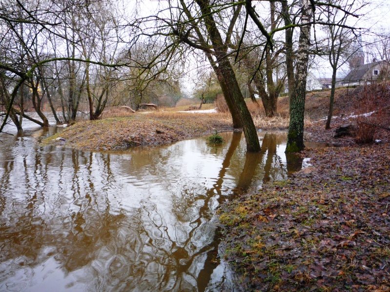 Vaizdas:Potvynis 618.jpg