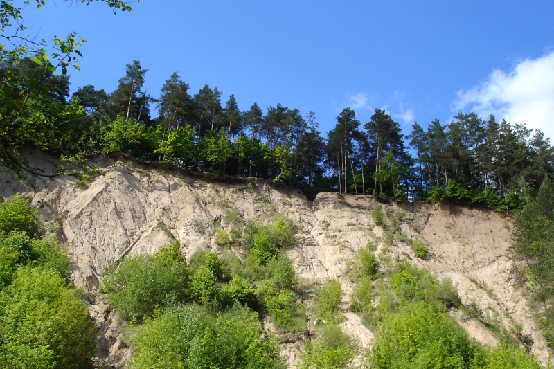 Vaizdas:Pučkorių atodanga 981.jpg