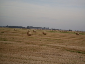 2010-09-26, Suvalkija