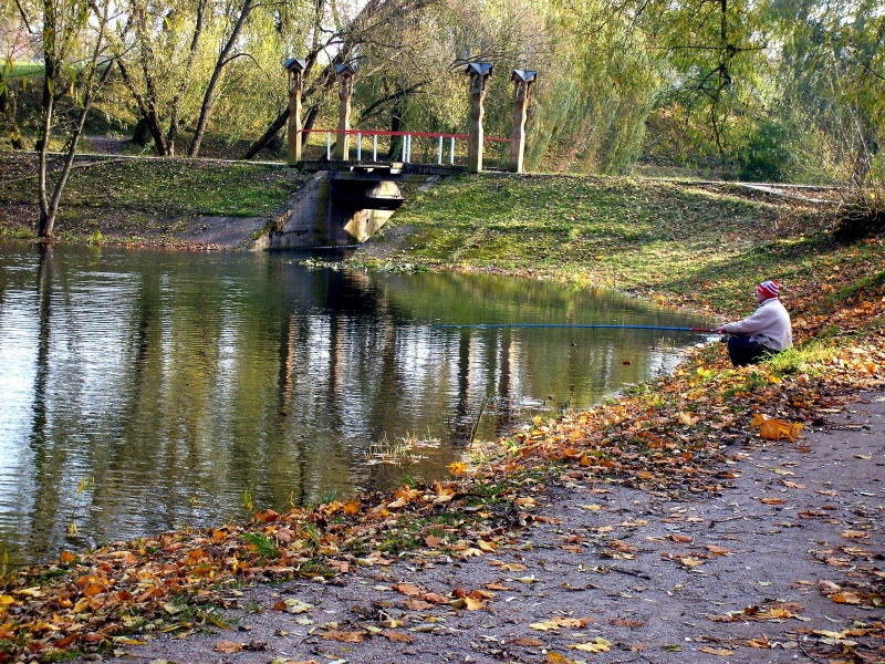 Vaizdas:Kretingos tvenkinio framybėje 394.jpg