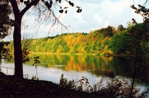 Nemunas