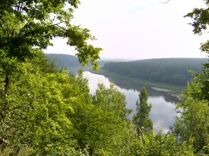 Nemunas ties Balbieriškiu