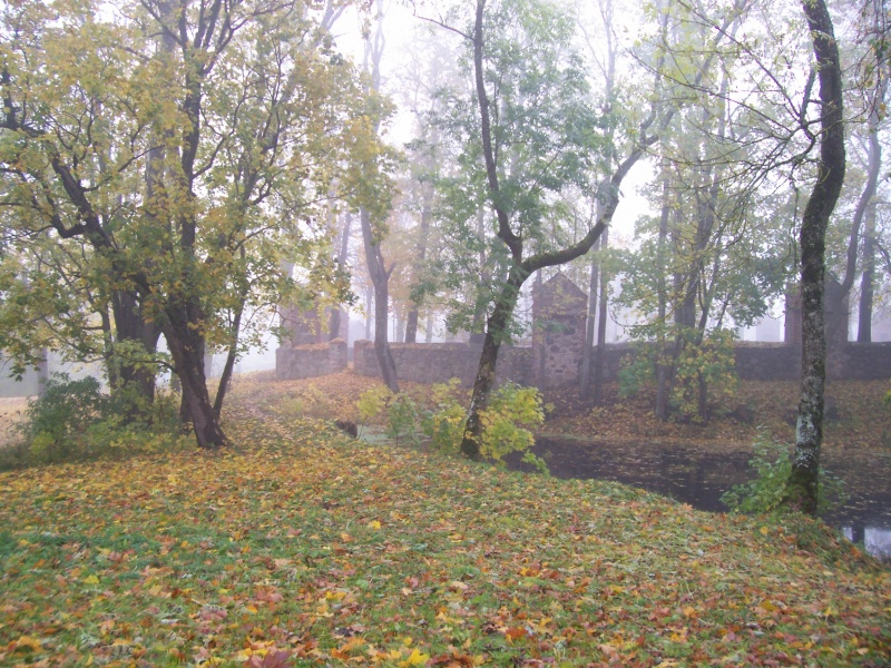 Vaizdas:Ruduo Laižuvoje, Mažeikių r. 704.jpg