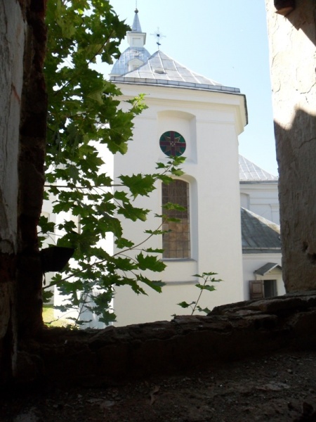 Vaizdas:Pro Palevenes vienuolyno langa 977.jpg