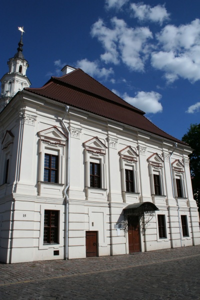 Vaizdas:Kauno gulbė (II) 957.jpg