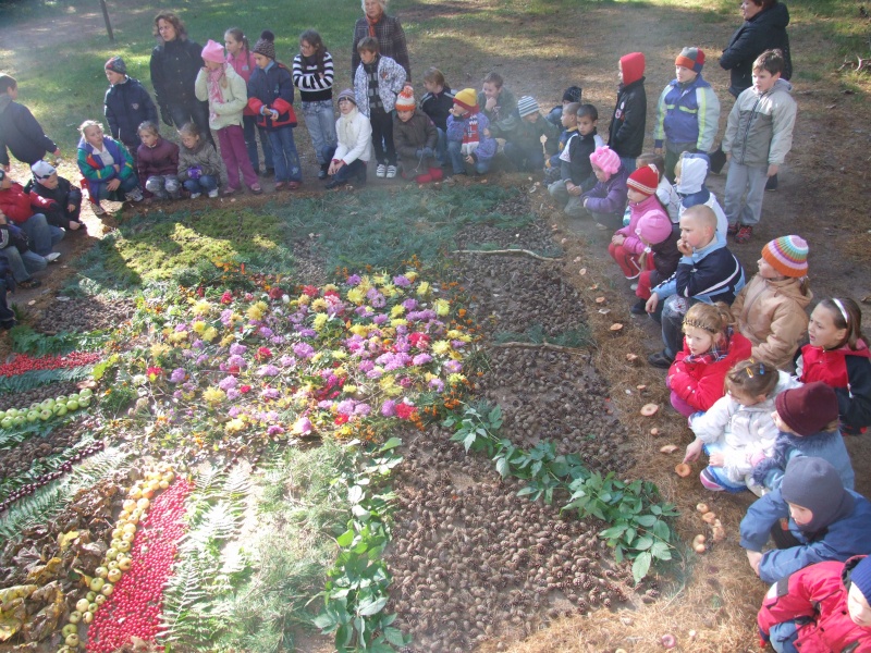 Vaizdas:Rudenėlio stebuklai Vyžuonose 699.jpg