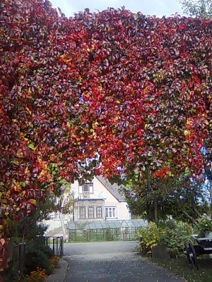 Rudeniniai vartai
