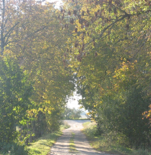 Vaizdas:Tėviškėn 661.jpg
