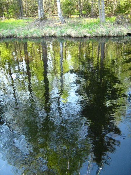 Vaizdas:Atspindys 520.jpg