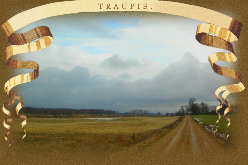 Vaizdas:Traupis 06 112.jpg