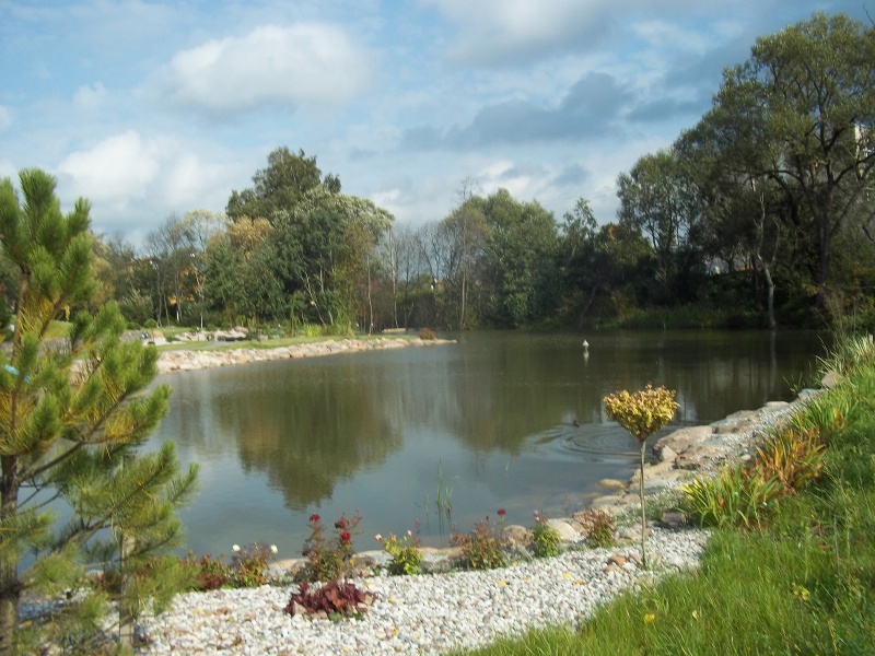 Vaizdas:Rudens kampelis, Tauragė 190.jpg