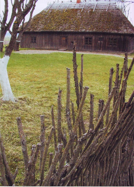 Vaizdas:E-visinskis1vis nuotr 4.jpg