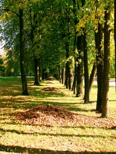 Vaizdas:Idilė rudens dienoje 210.jpg
