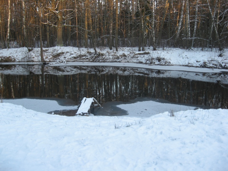 Vaizdas:Prie Sanžilės žiemą 274.jpg
