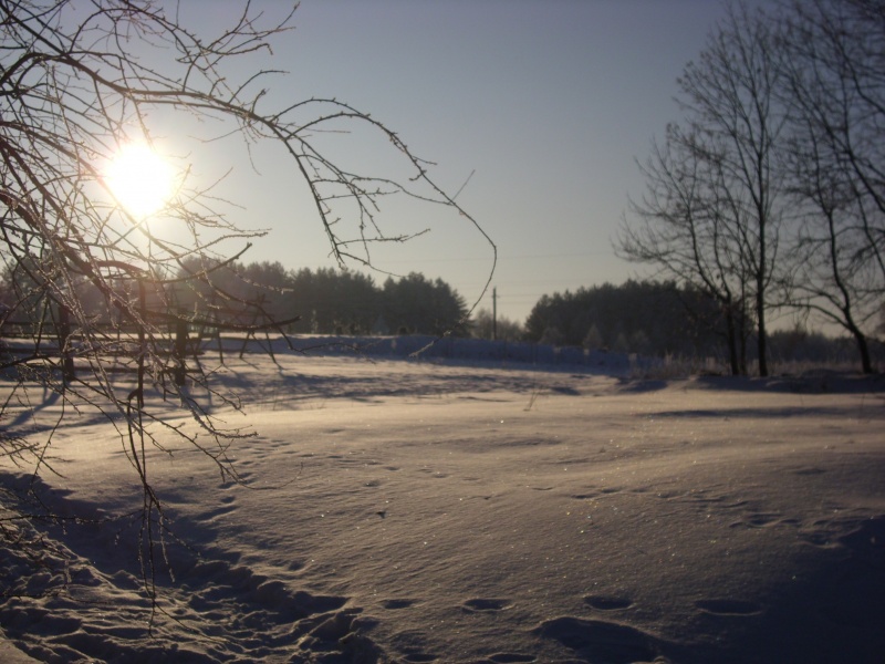 Vaizdas:Žvėrių pėdomis 64.jpg